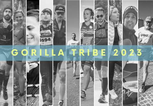 Lacets Gorilla Tribes, Notre nouvelle Gorilla Tribe 2023 !