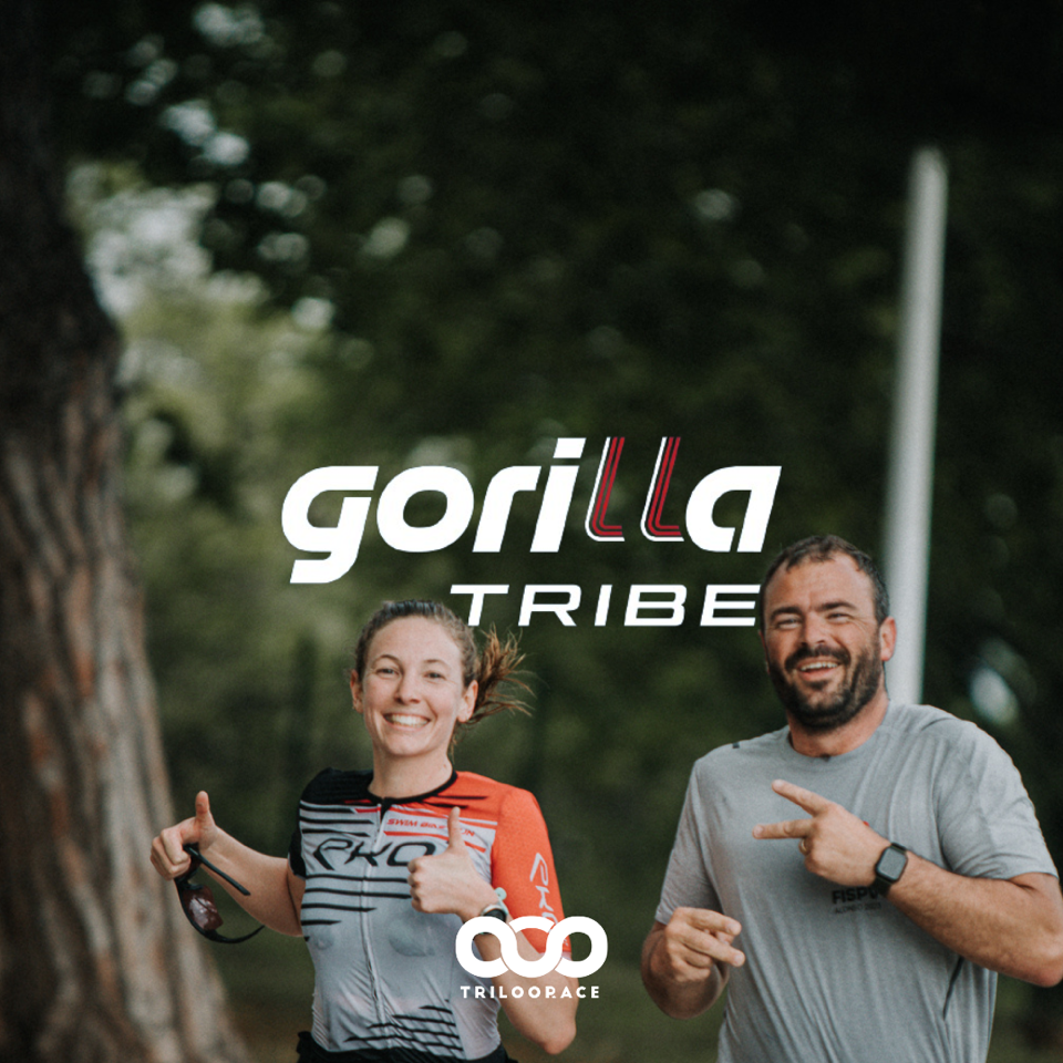 Lacets Gorilla Tribes, des lacets pour être bien dans tes baskets