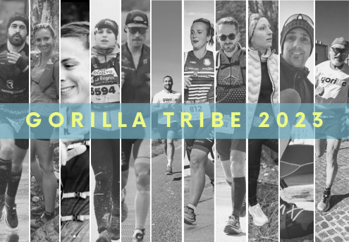 Ambassadeur Gorilla Tribe